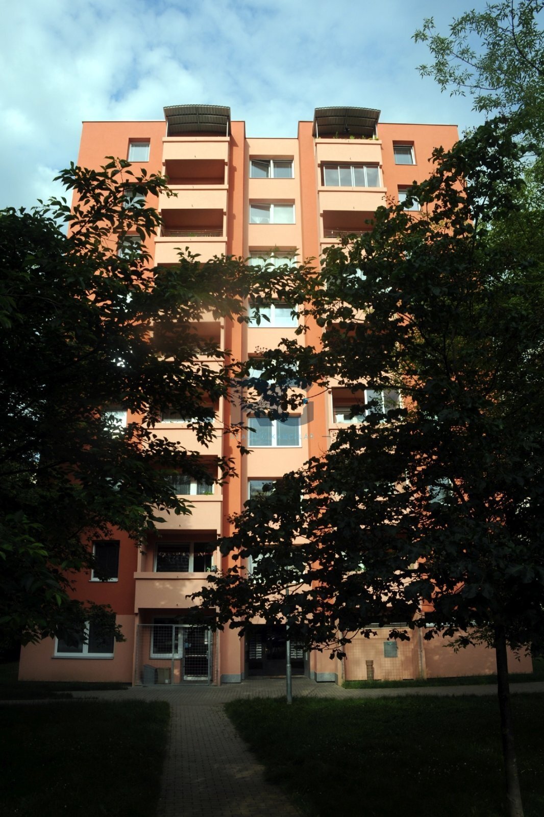 DSC_0420.JPG