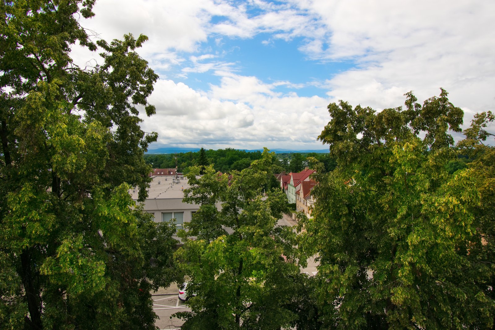 DSC_0012.jpg