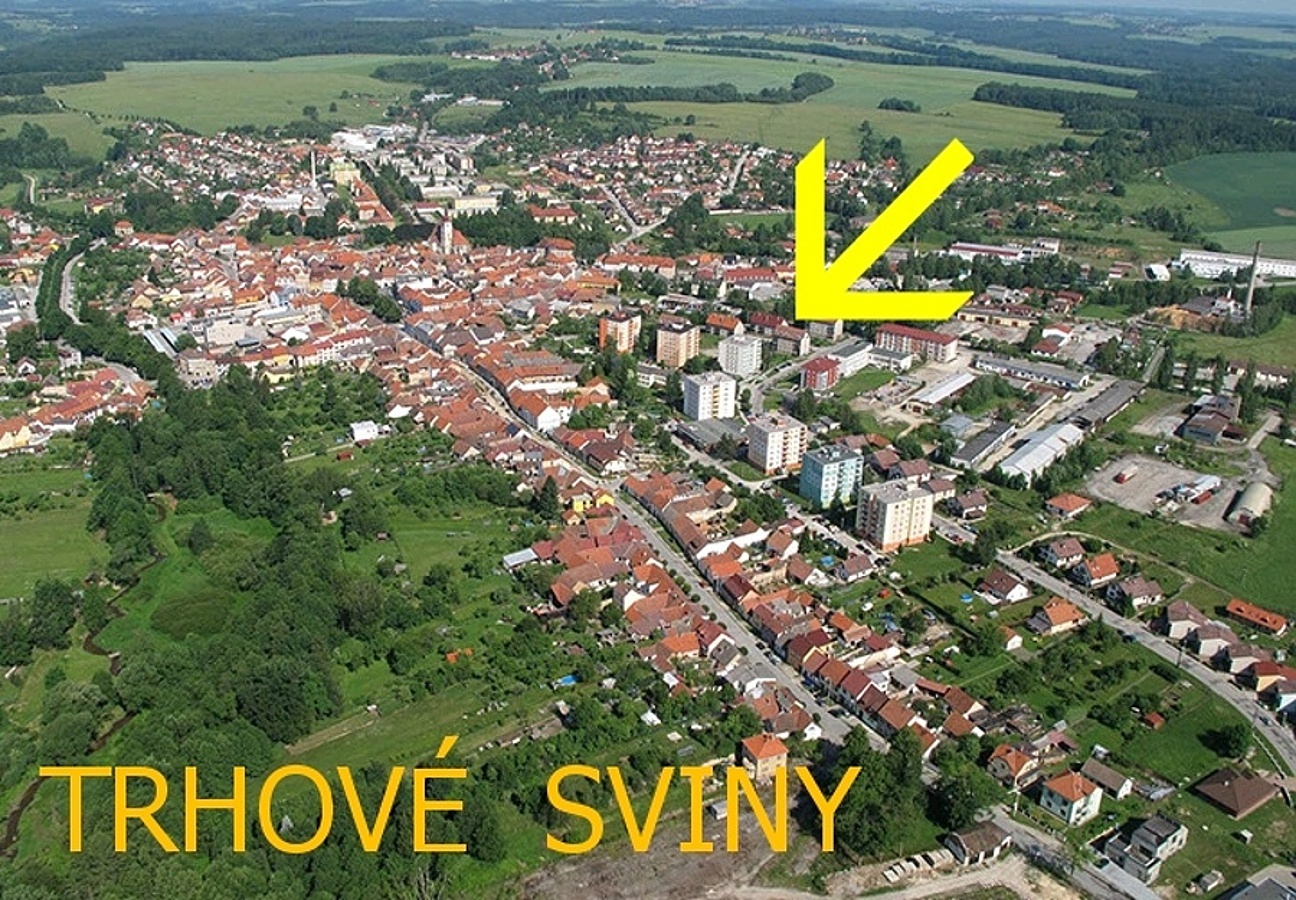 letecky-trhové sviny.jpg