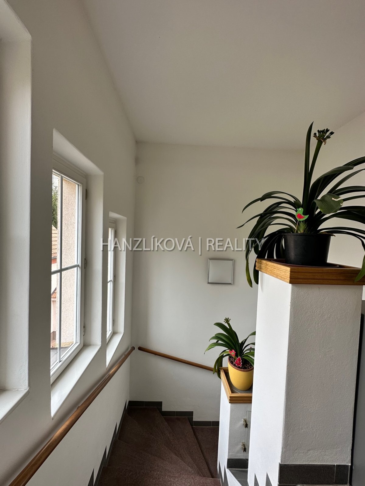 Pronájem  mezonetového bytu 3+kk s terasou a balkonem ve vile v Havlíčkově kolonii