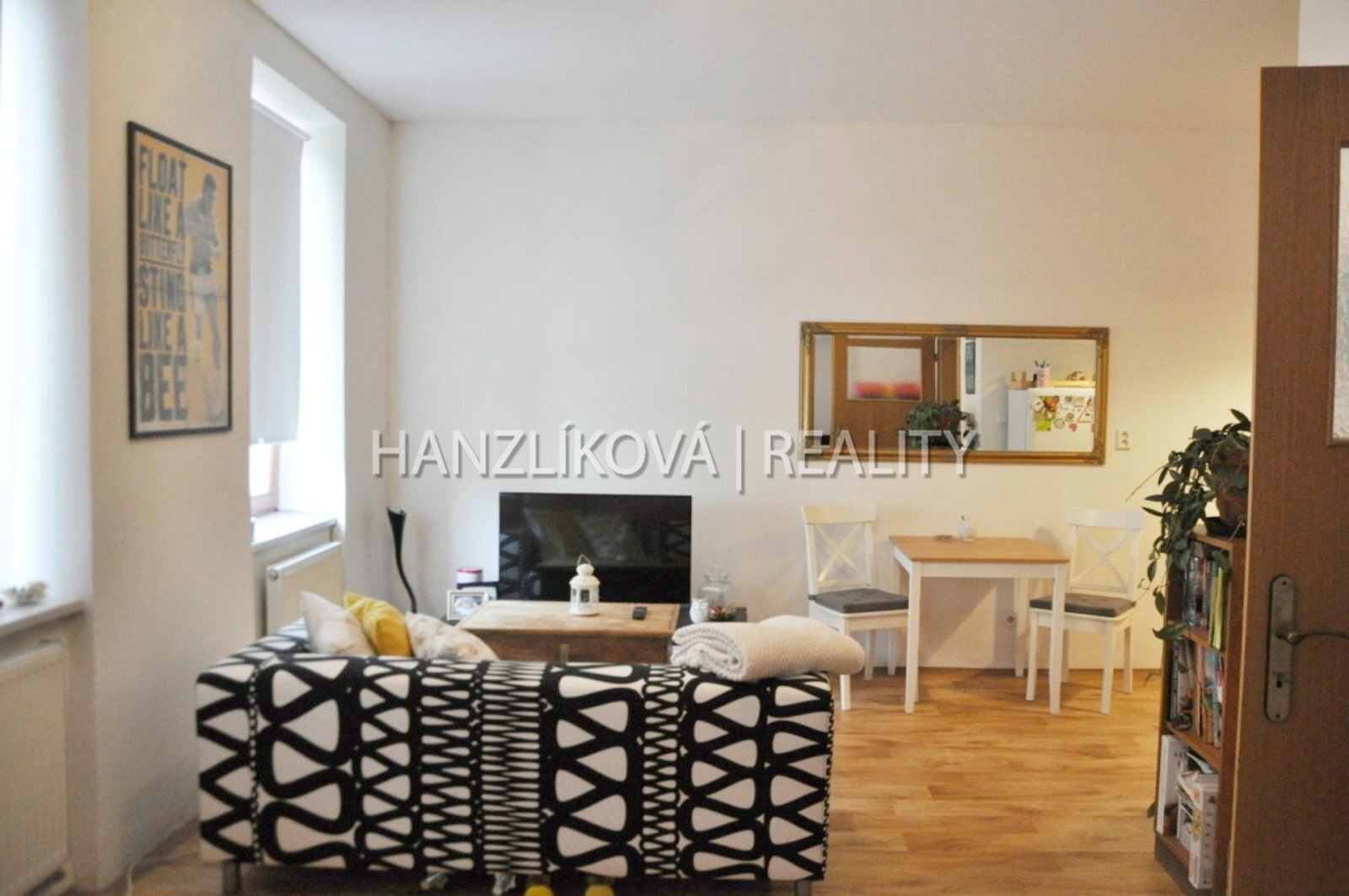 Pokoj, pronájem bytu 1+kk, Klaricova, České Budějovice