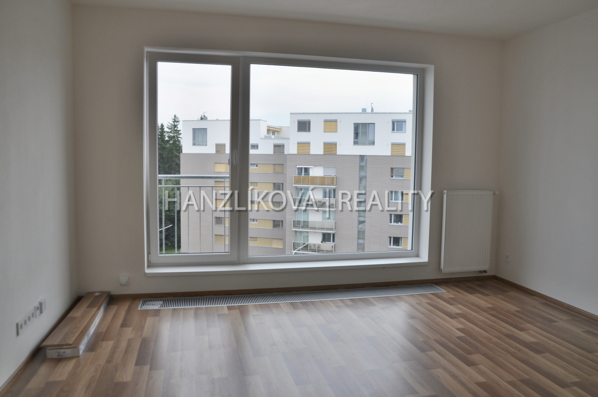 Pokoj, pronájem bytu 1+kk, Dlouhá Louka, České Budějovice