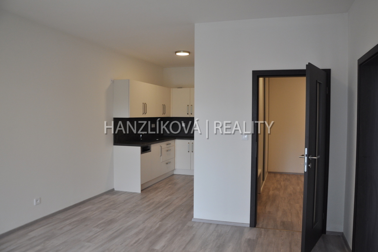 Kuchyně, pronájem bytu 2+kk, Dlouhá Louka, České B