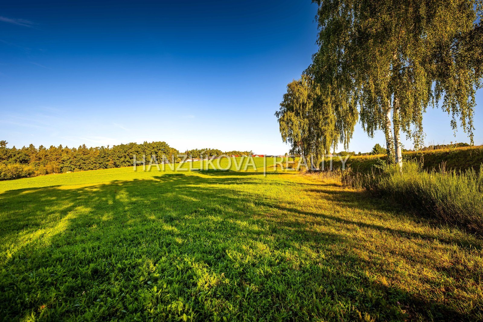 25-09-19 Dubičné Pozemek Foto_60.jpg