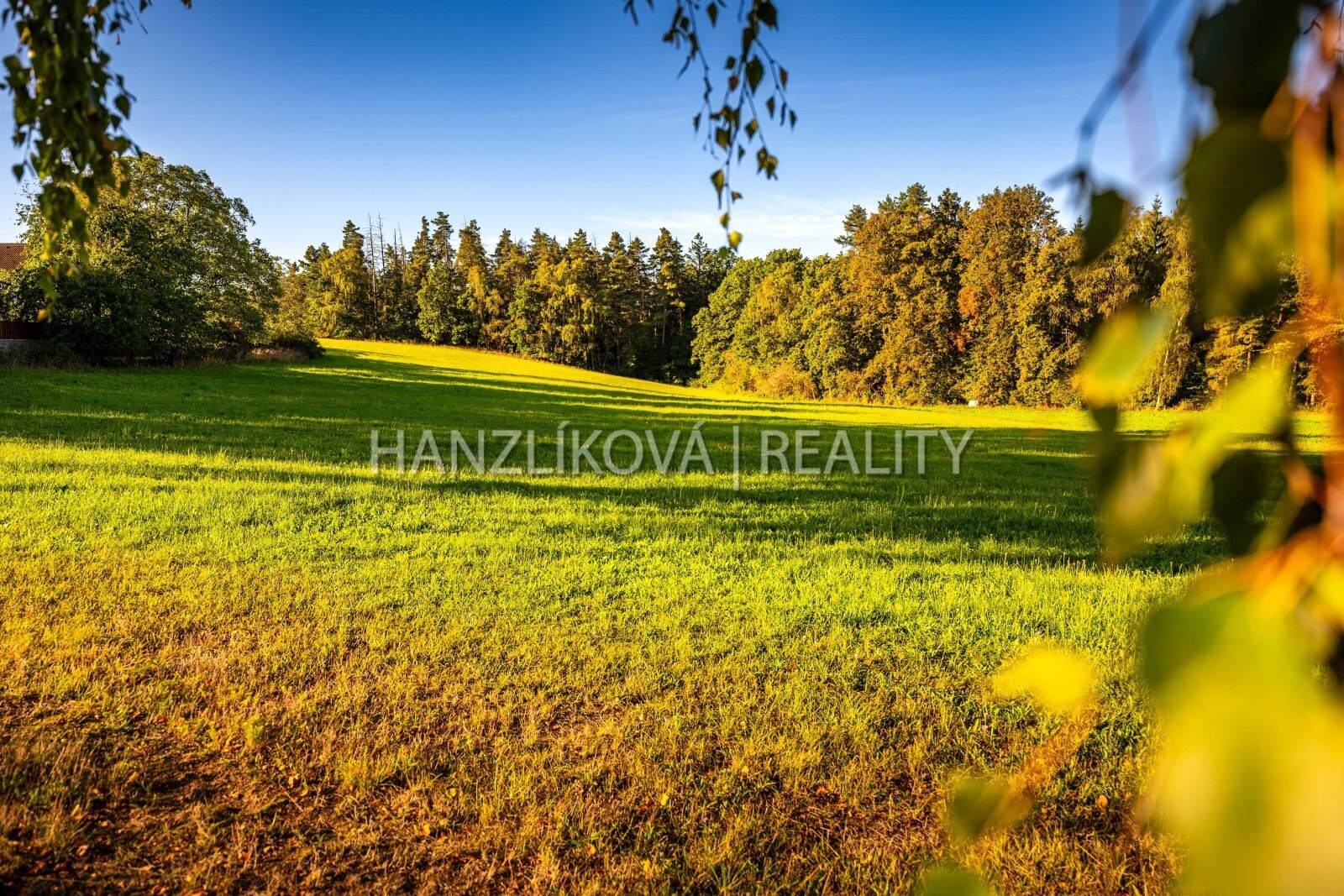 25-09-19 Dubičné Pozemek Foto_48.jpg