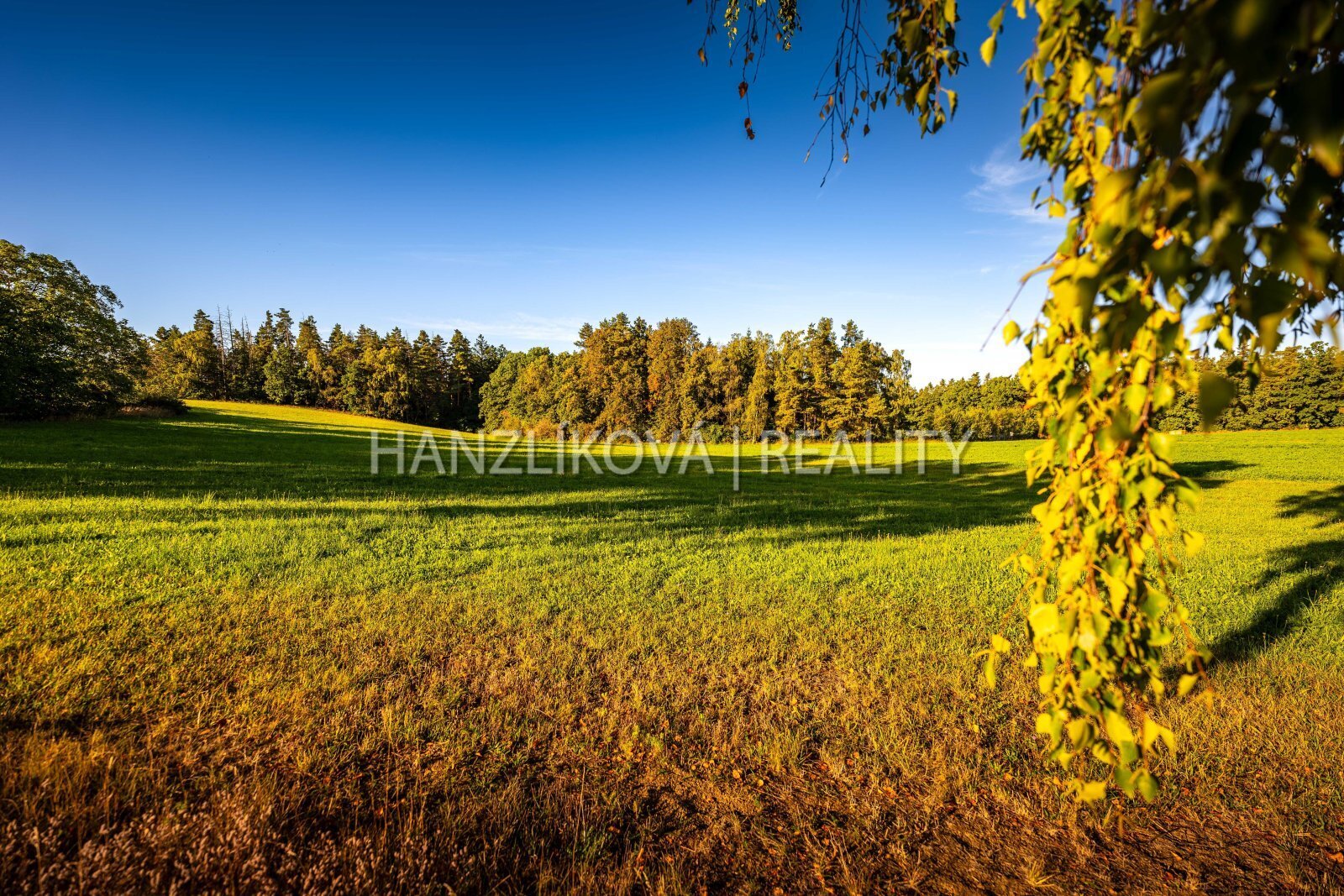 25-09-19 Dubičné Pozemek Foto_49.jpg