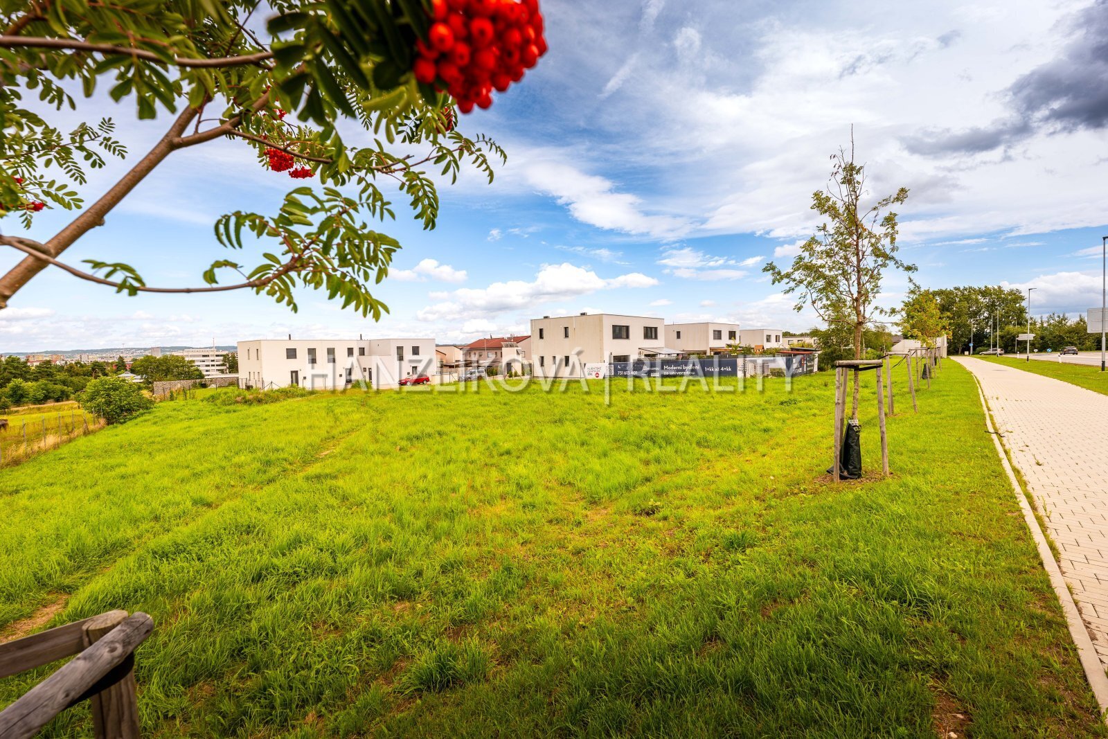 25-08-01 ČB Pozemek Foto_05.jpg