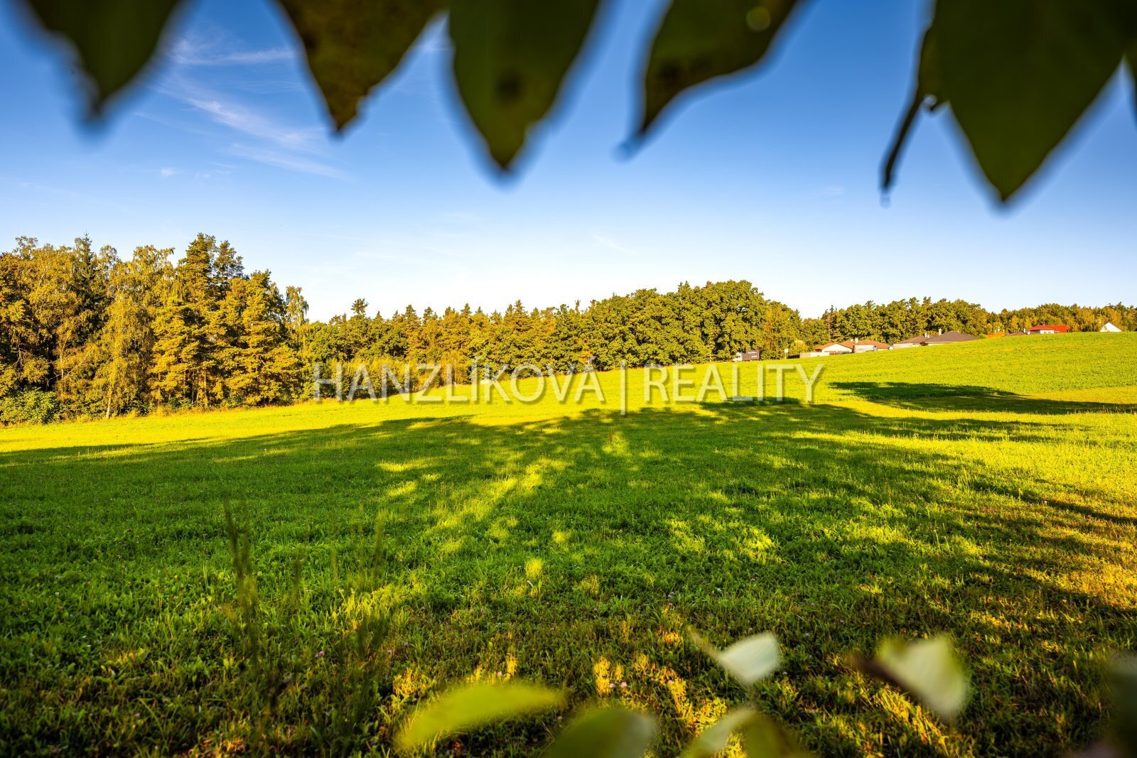 25-09-19 Dubičné Pozemek Foto_51.jpg