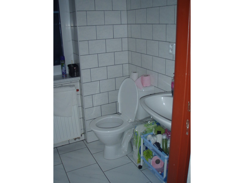 Koupelna, pronájem bytu 2+1, Puklicova, České Budějovice