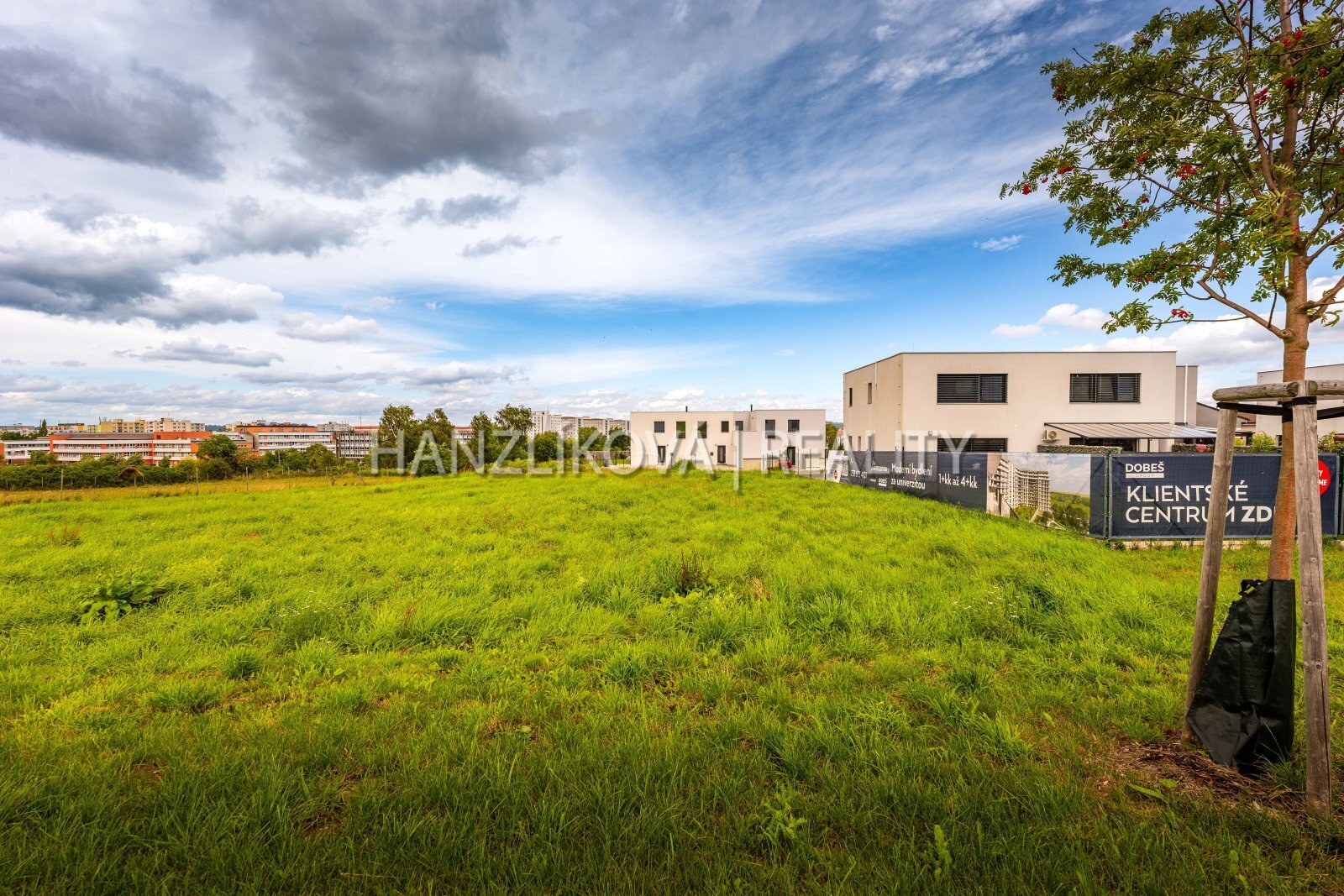 25-08-01 ČB Pozemek Foto_07.jpg