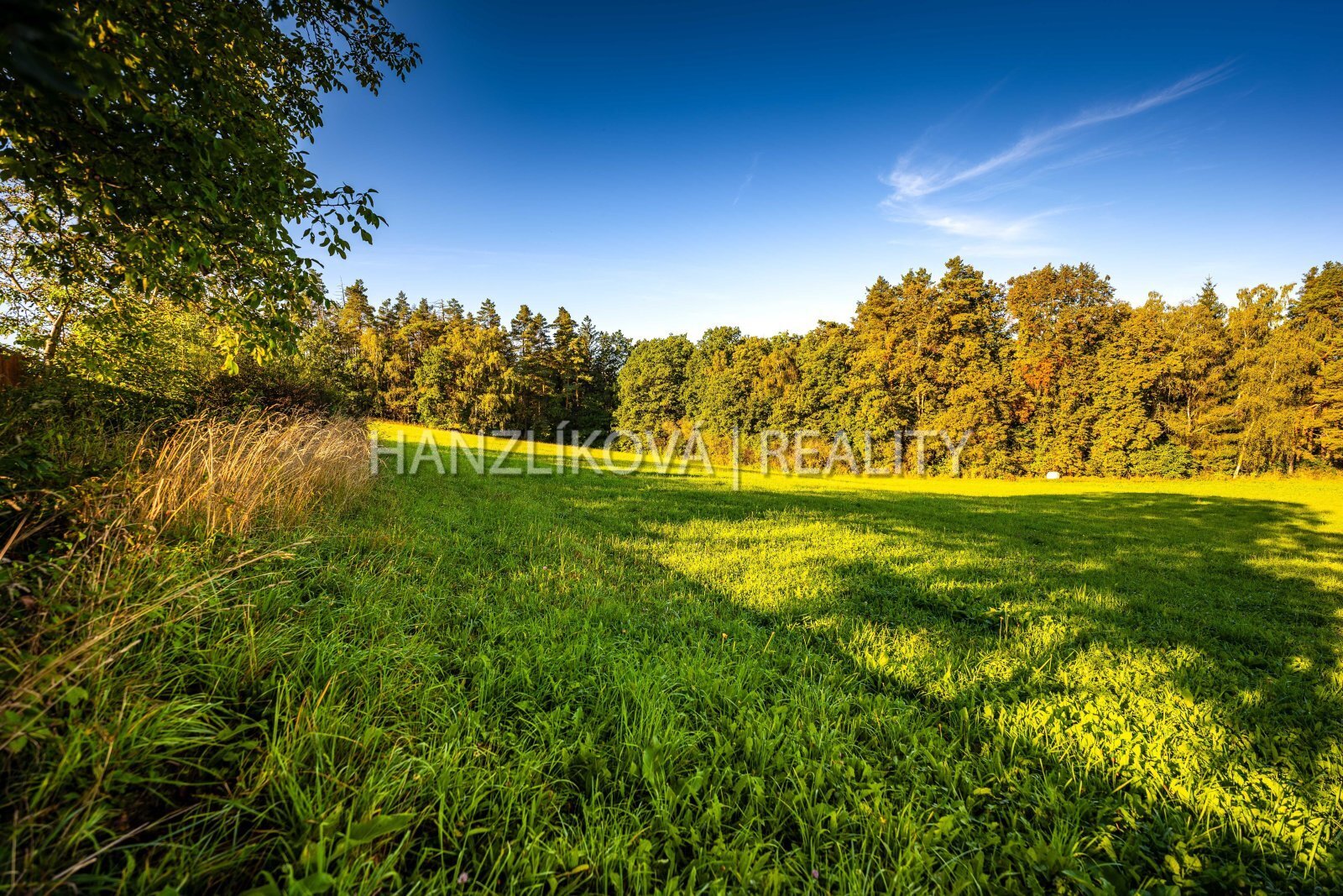 25-09-19 Dubičné Pozemek Foto_54.jpg