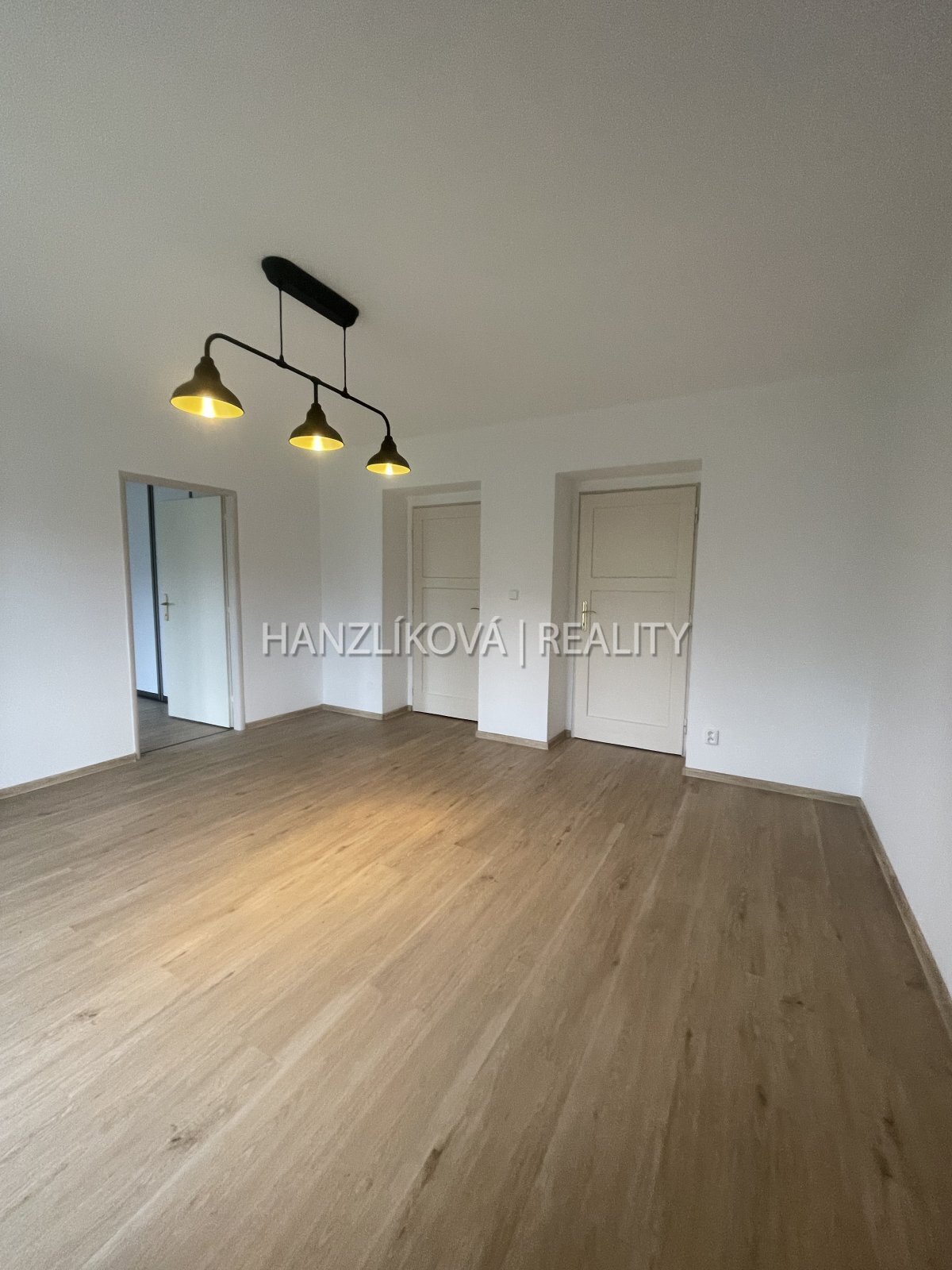 Pronájem zděného bytu 2+1, Havlíčkova kolonie, Pol