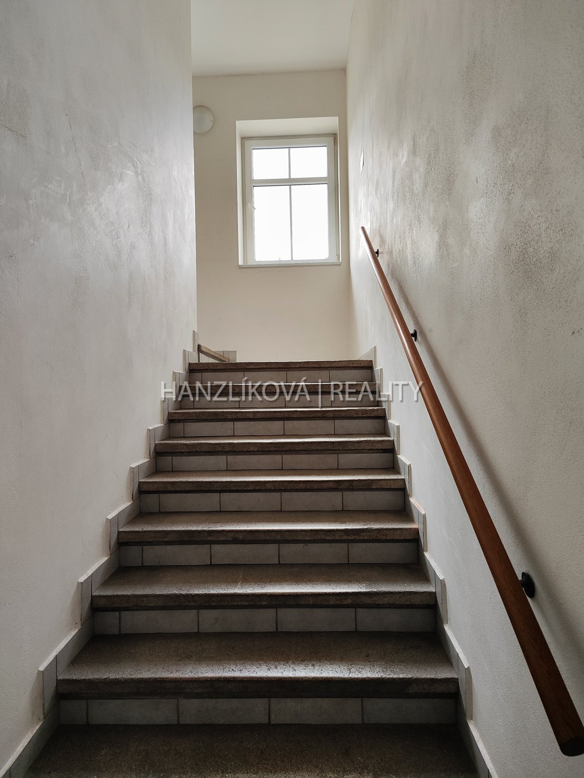Společné prostory domu, pronájem bytu 1+kk, Riegro