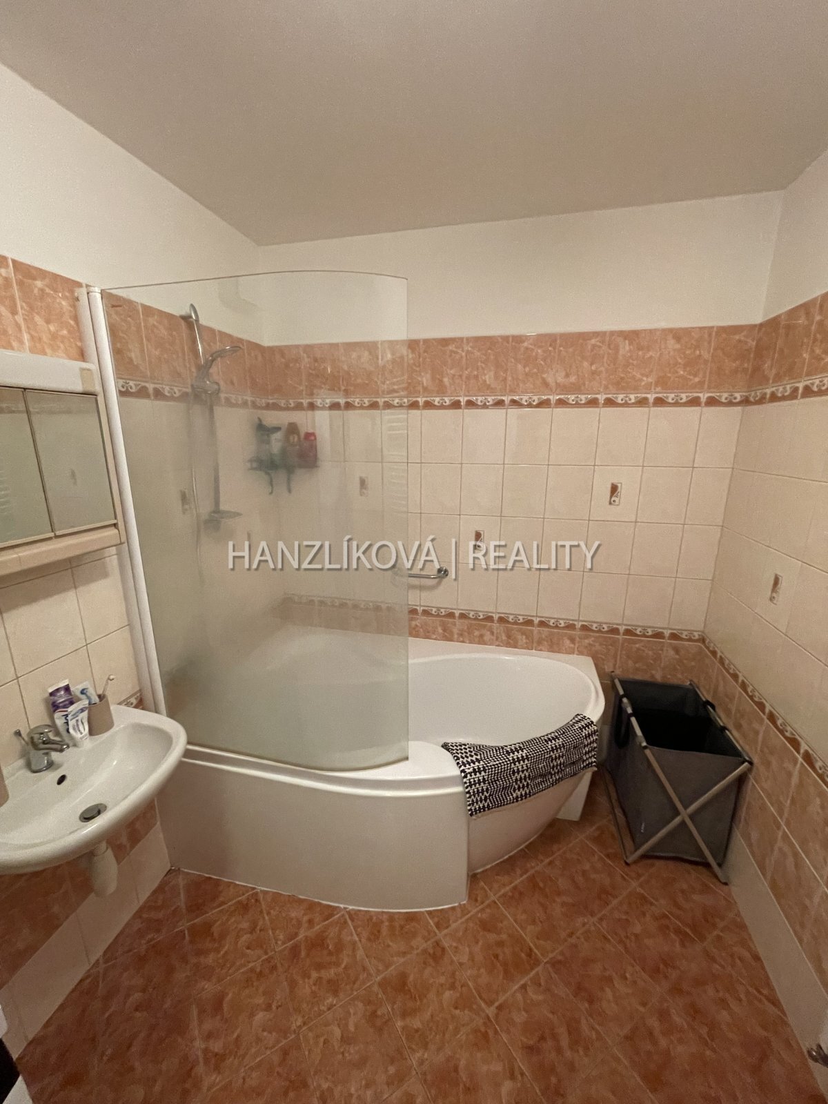 Pronájem bytu 3+kk s balkonem, Riegrova ulice, ČB
