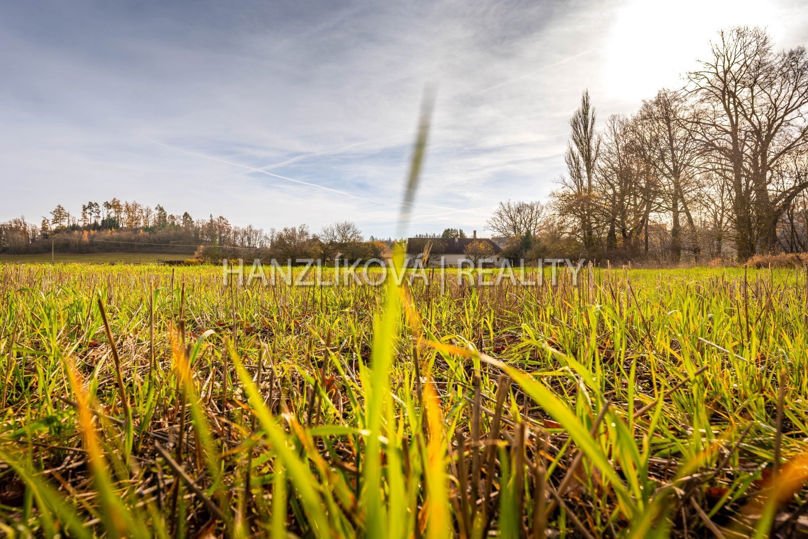 25-11-13 Mačkov Pozemek Foto_33.jpg