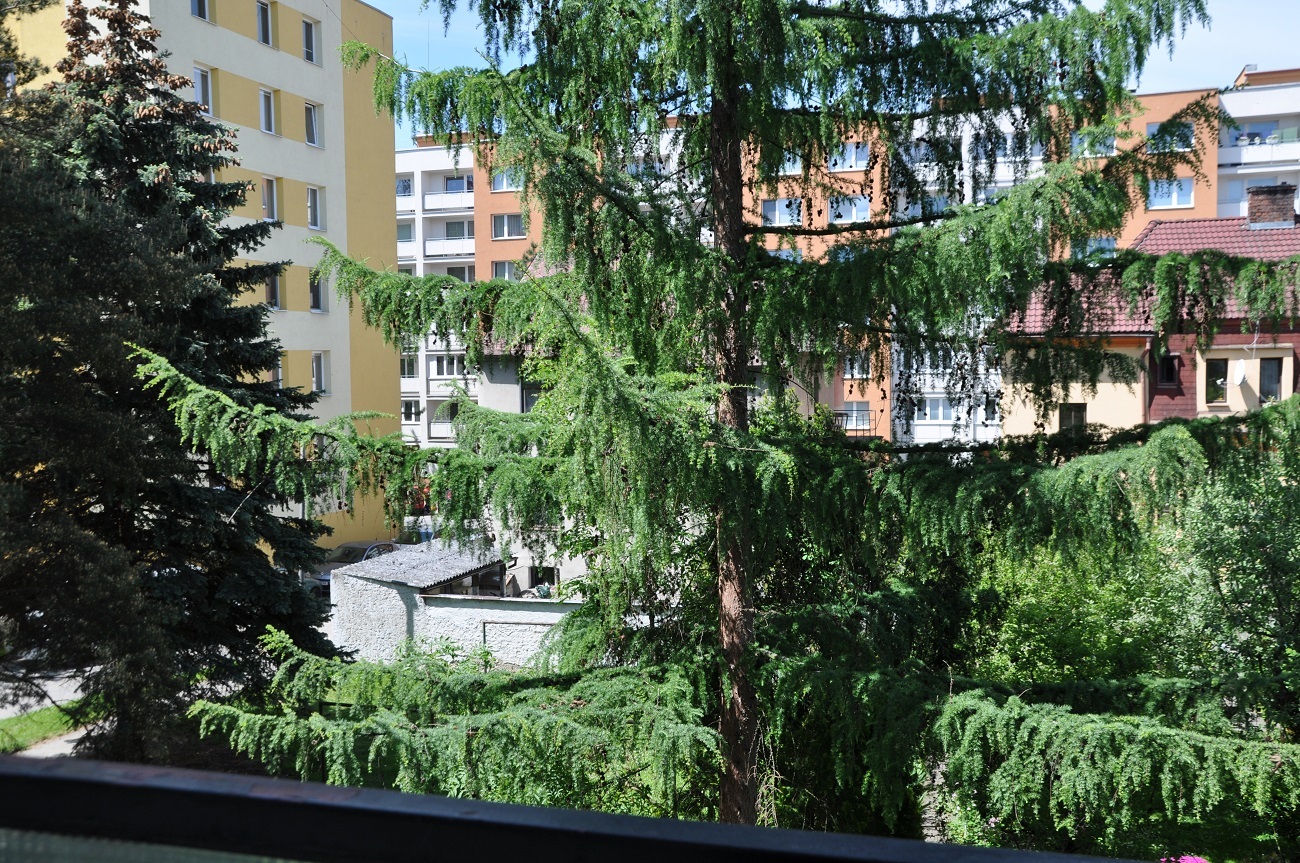 Pronájem bytu 1+1, Lipenská ulice