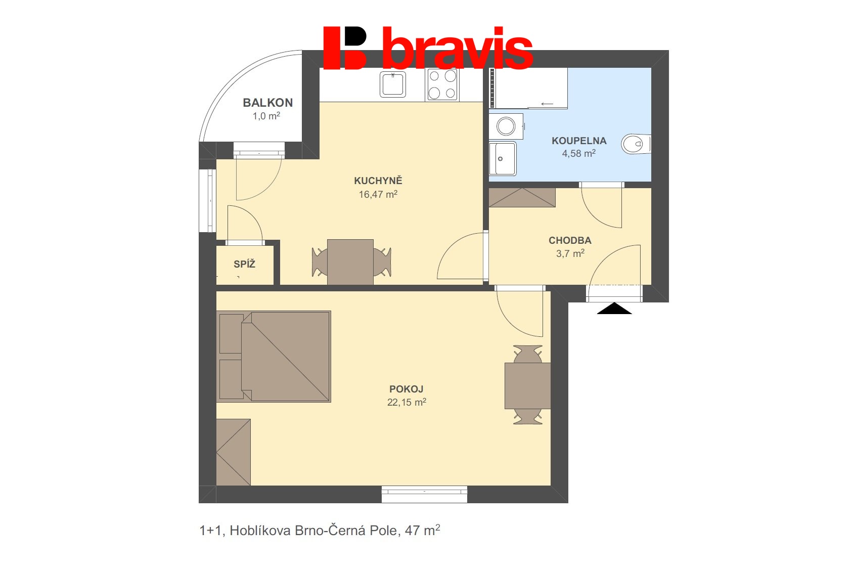 1+1 Hoblíkova 47m2