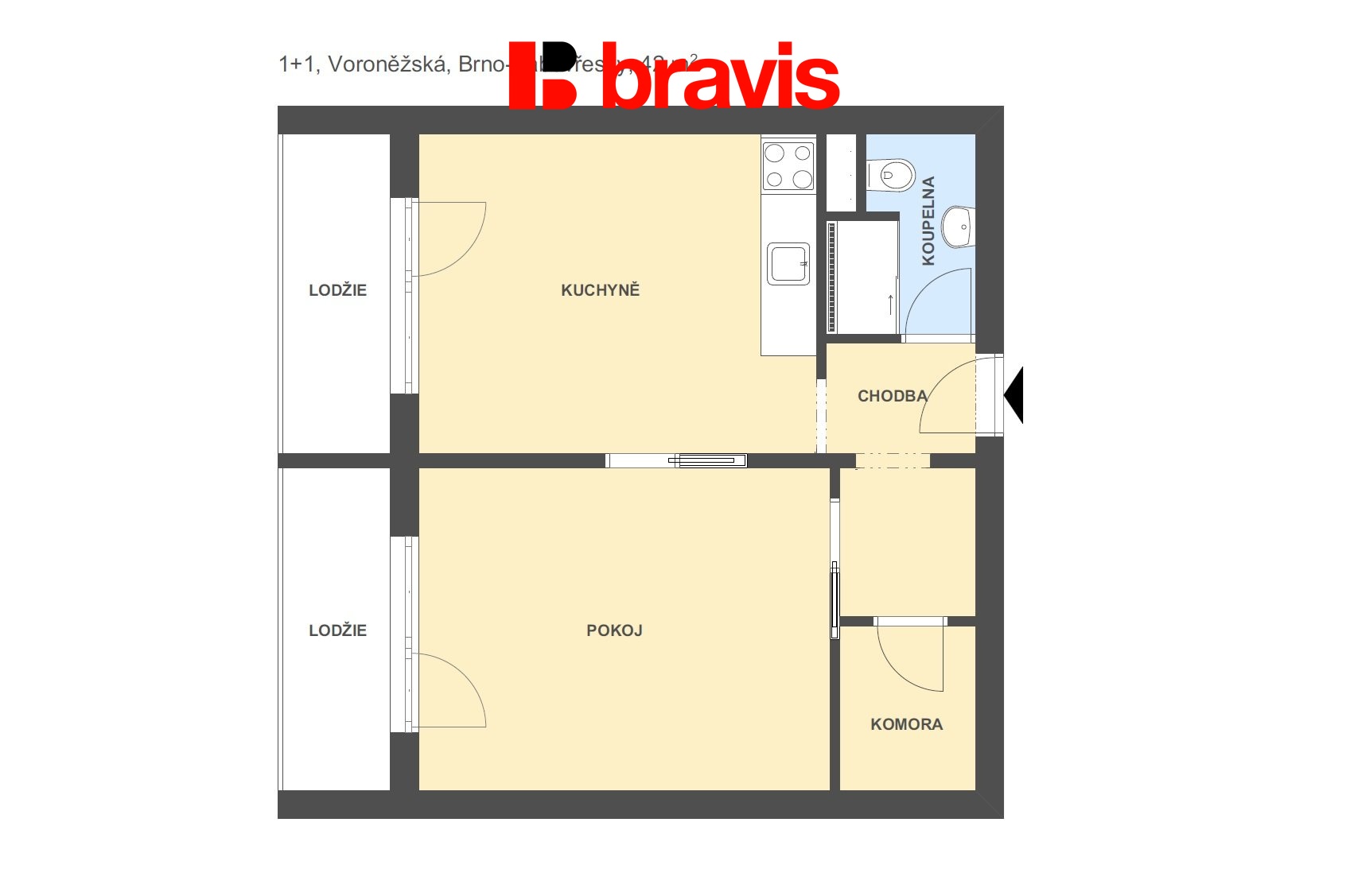 1+1 Voroněžská 42m2