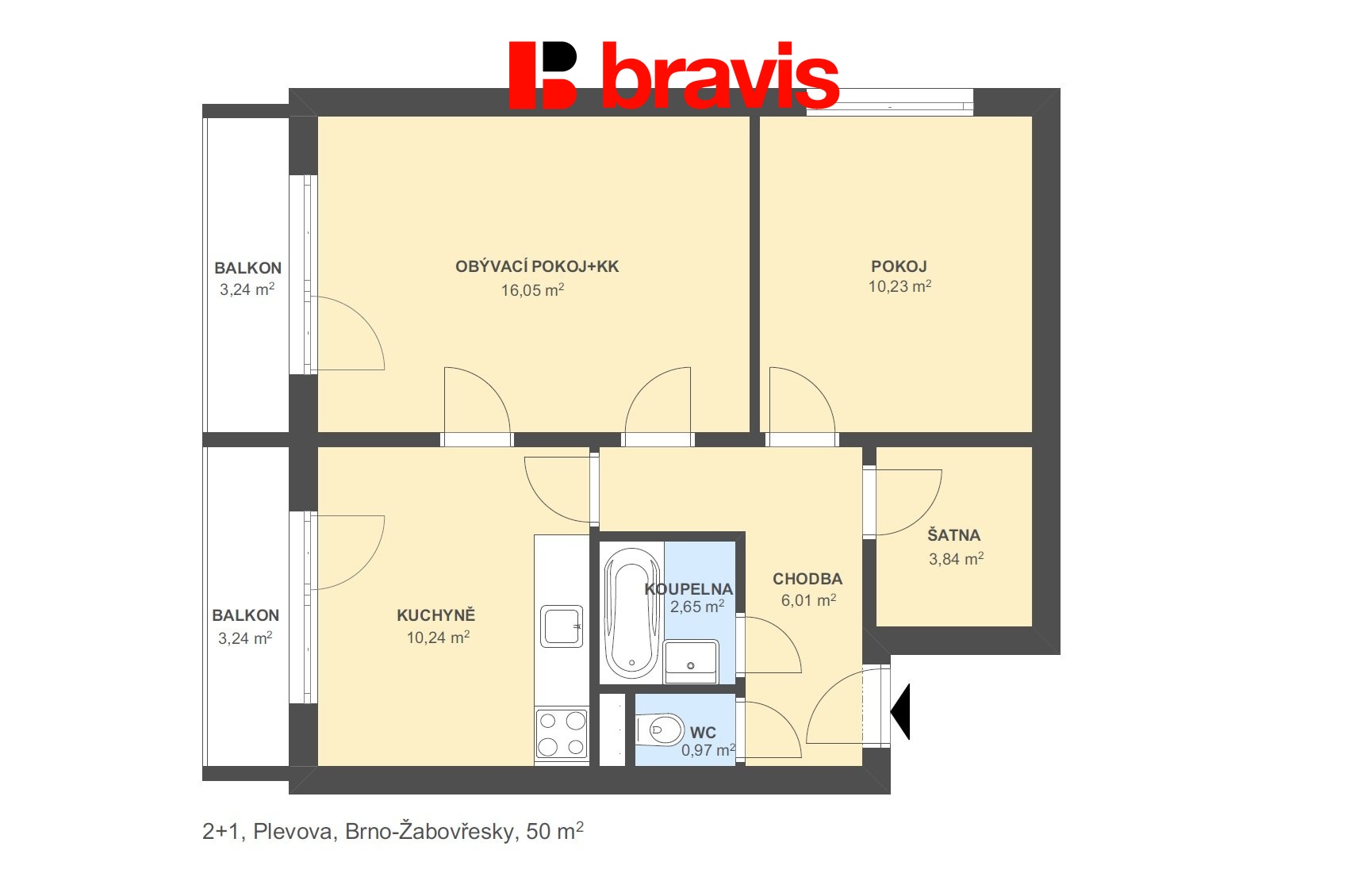 2+1 Plevova 50m2