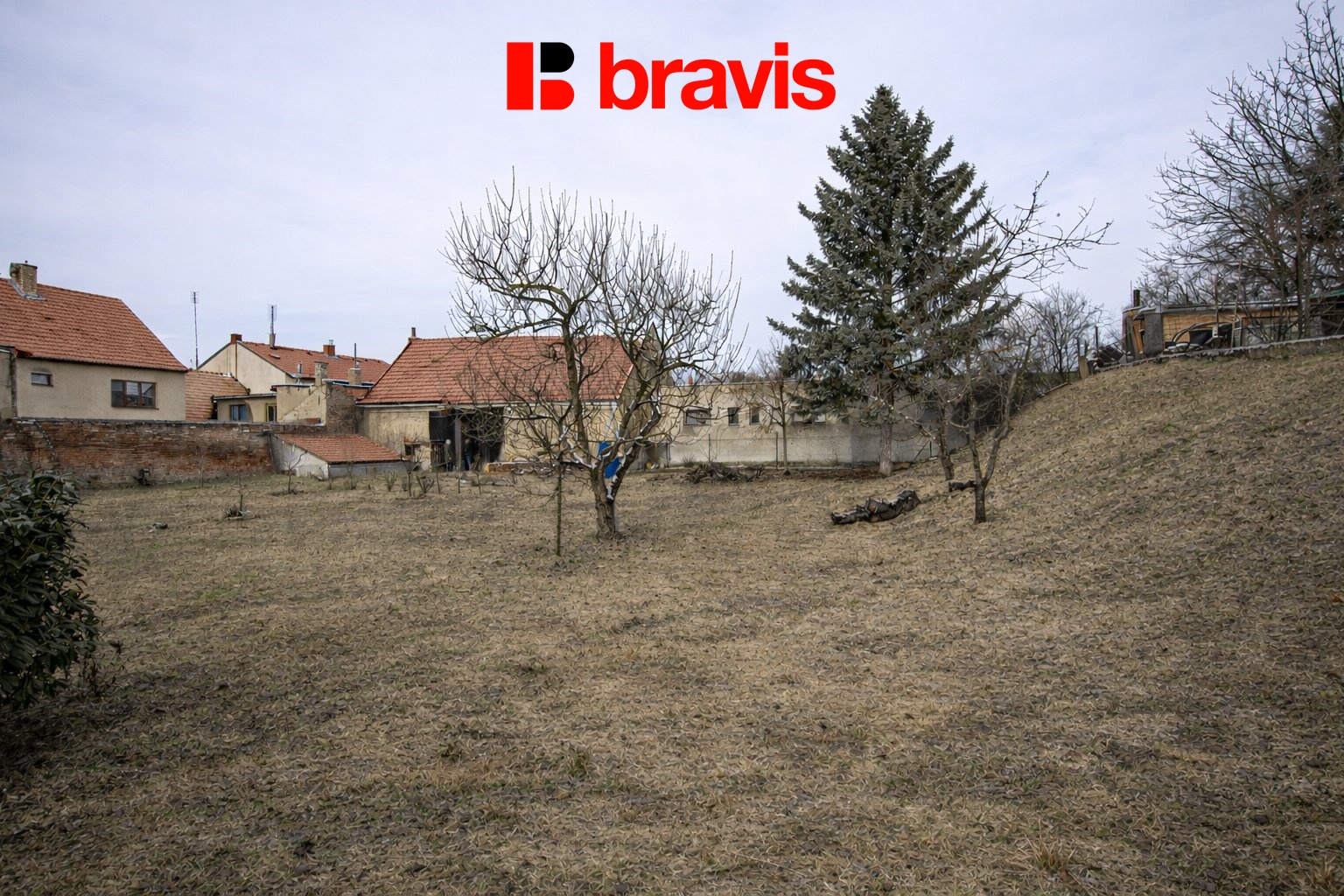 ChatGPT Image 26. 2. 2026 11_10_34