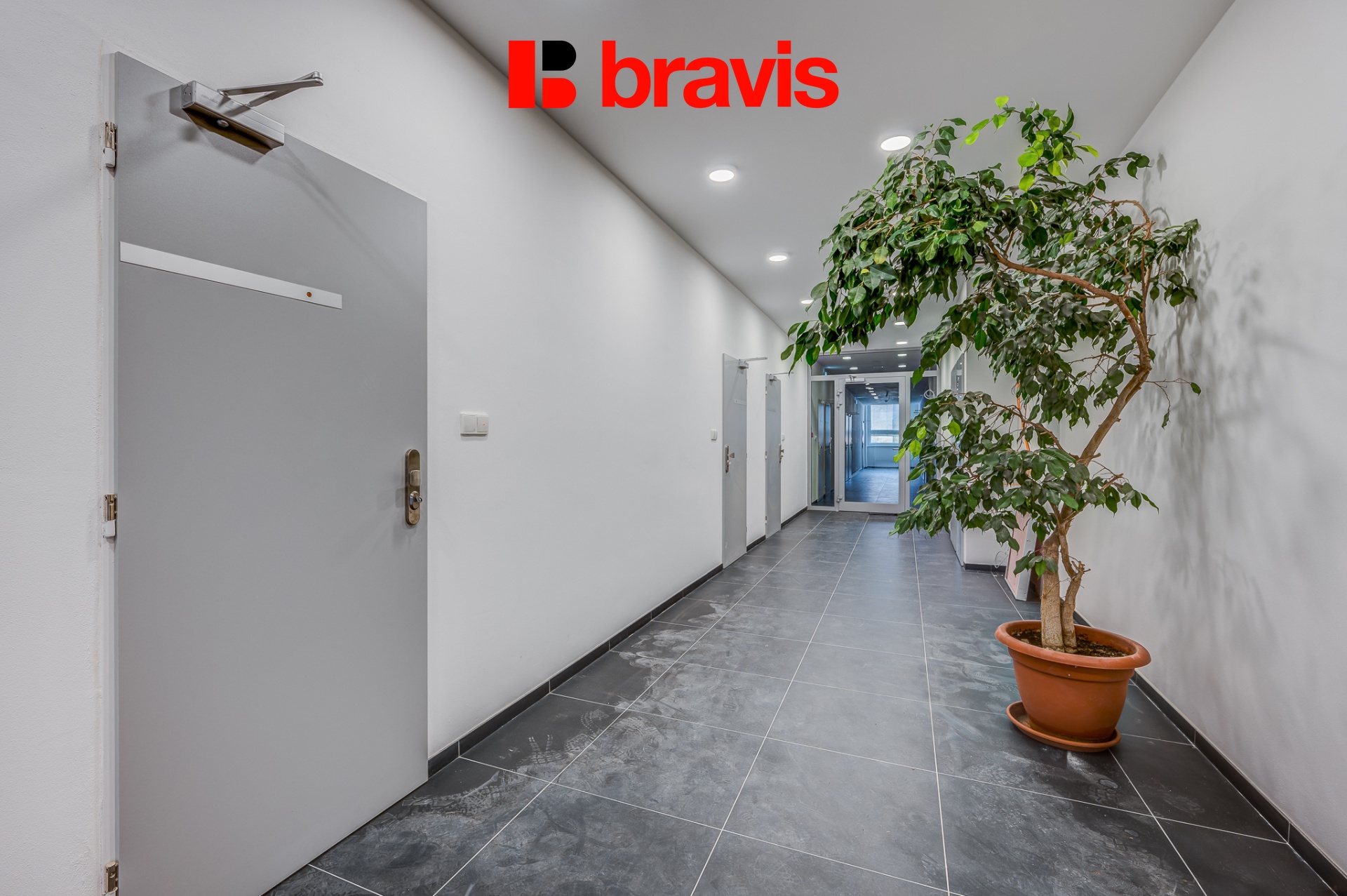 10_DSC_1526_2_3_4_5_FoceniBytu.cz