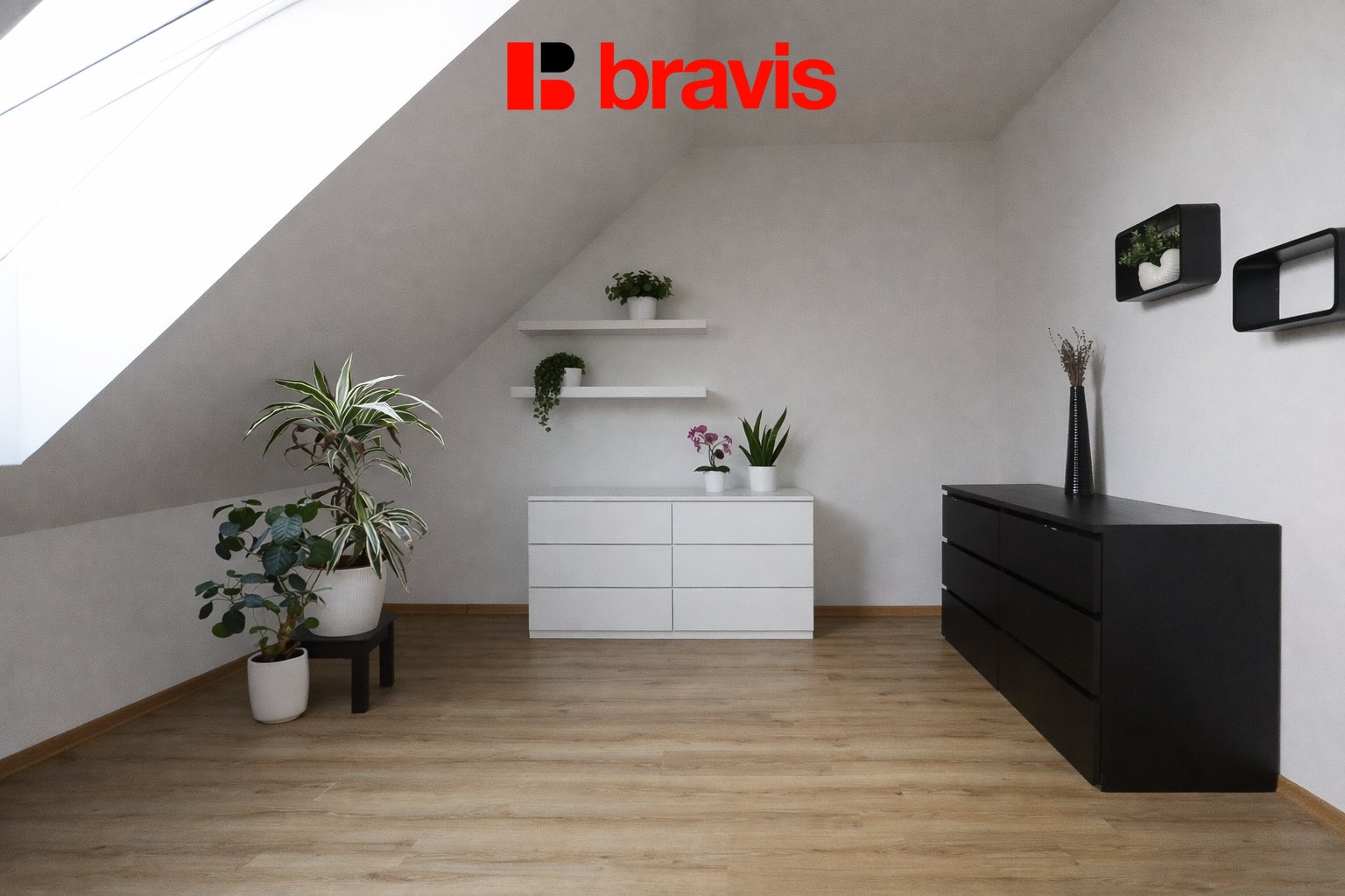 5578c807-5a9c-4e86-aebc-a48aea55fb10