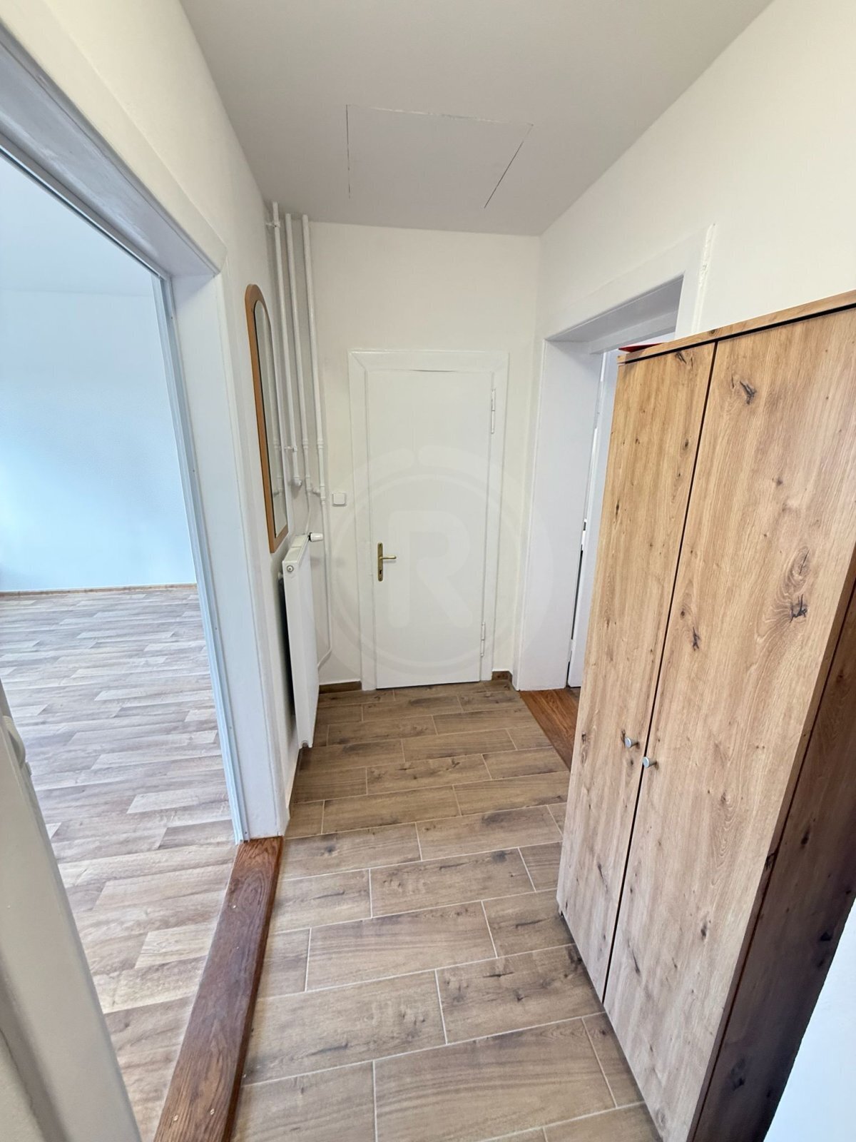 WhatsApp Image 2026-02-20 at 10.50.46.jpeg