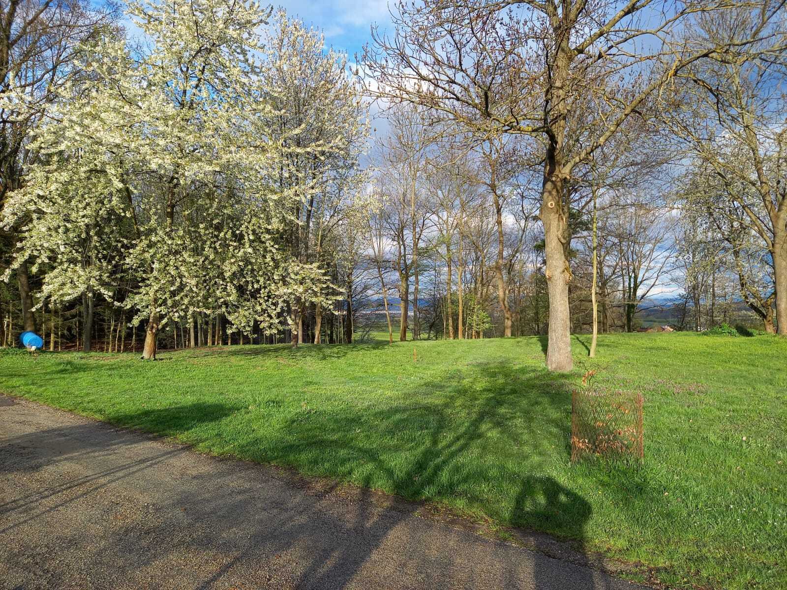 WhatsApp Image 2024-02-27 at 11.43.20 (2).jpeg