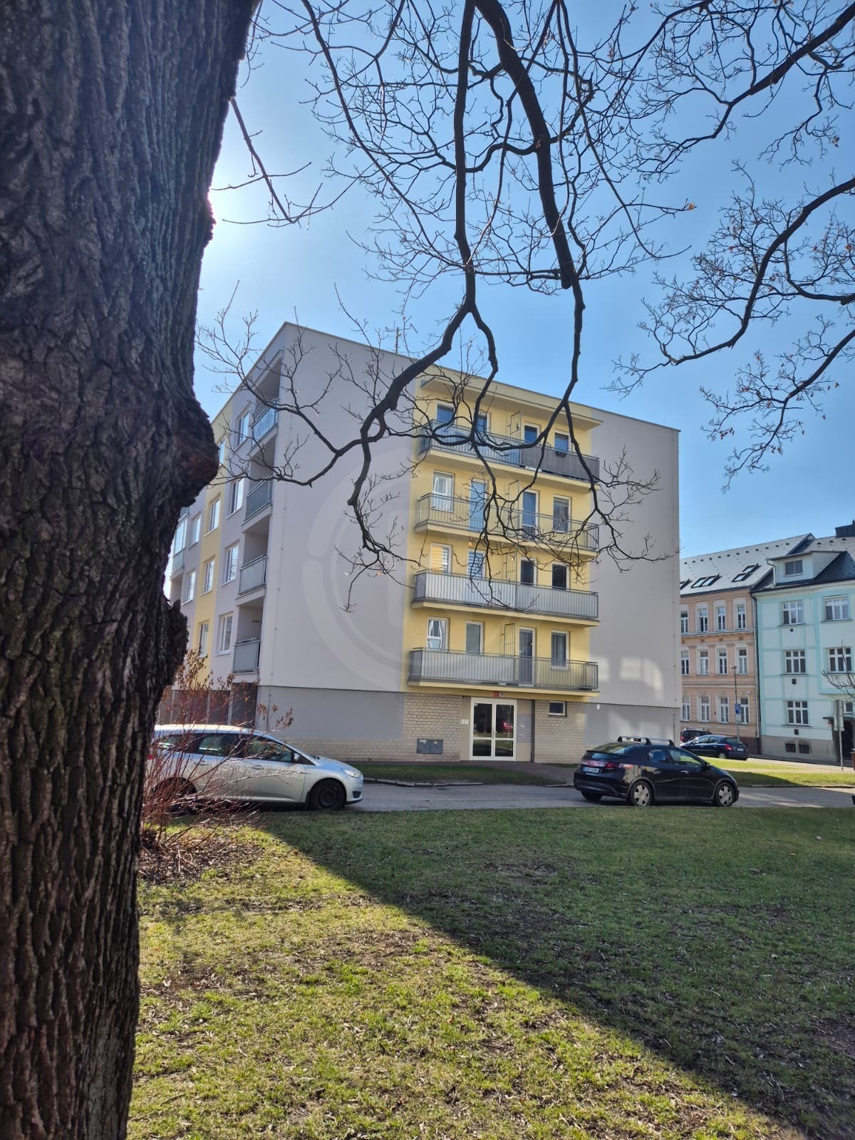 WhatsApp Image 2026-03-02 at 13.36.58 (1).jpeg