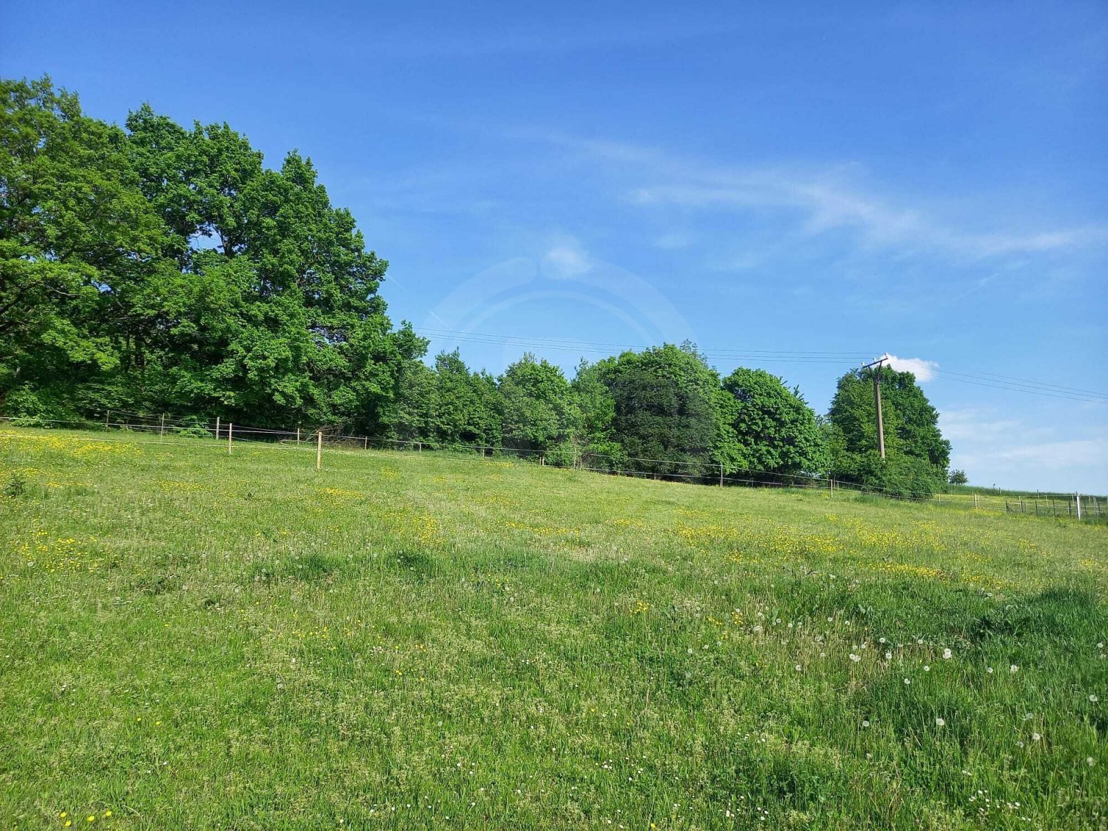 WhatsApp Image 2023-05-23 at 07.38.59.jpeg