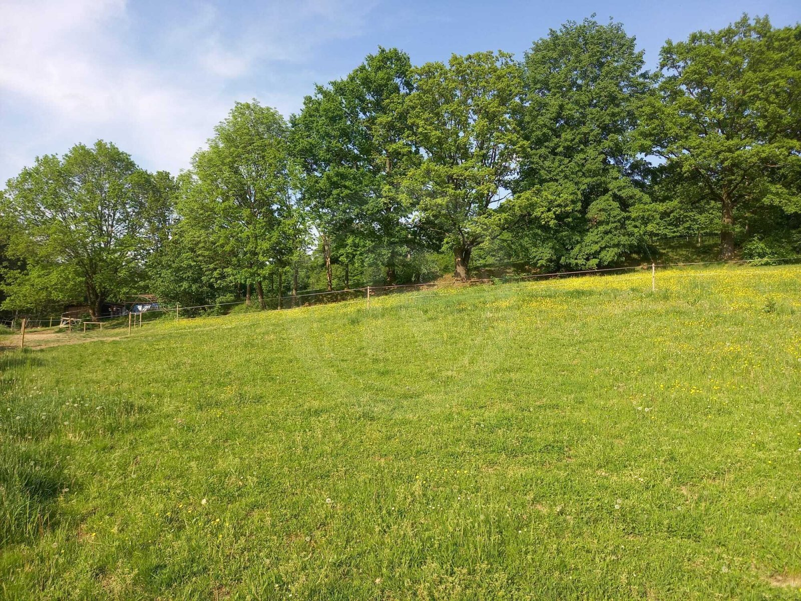 WhatsApp Image 2023-05-23 at 07.38.59 (2).jpeg