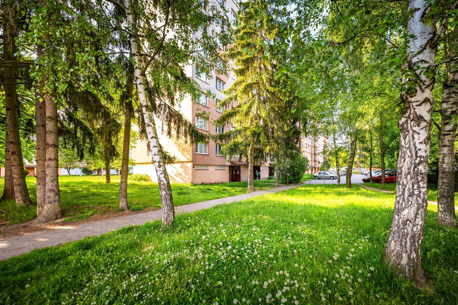 25-04-28 České Budějovice Plzeňská 67 Byt Foto_09.jpg