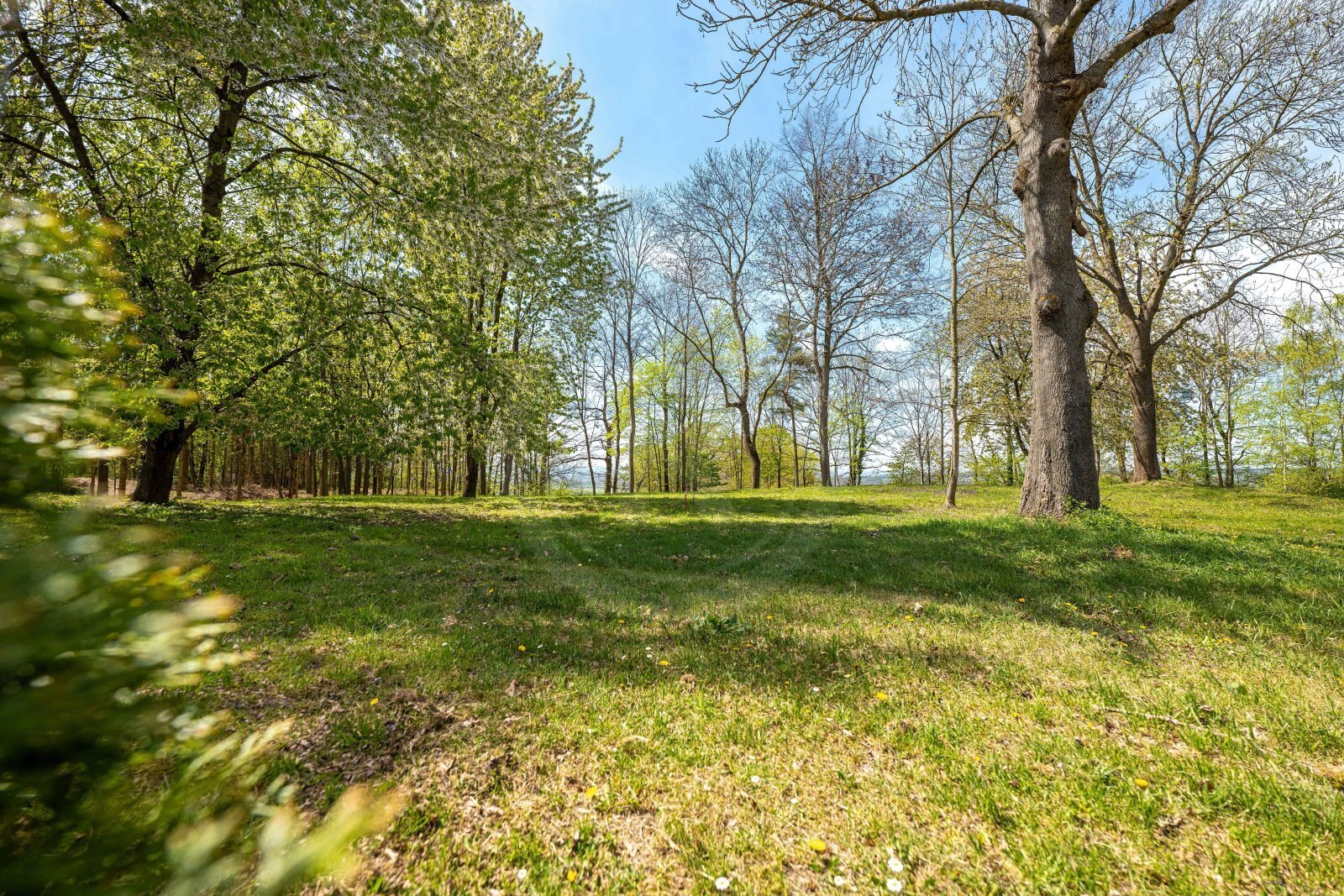 26-04-28 Libnič Pozemek Foto_54.jpg