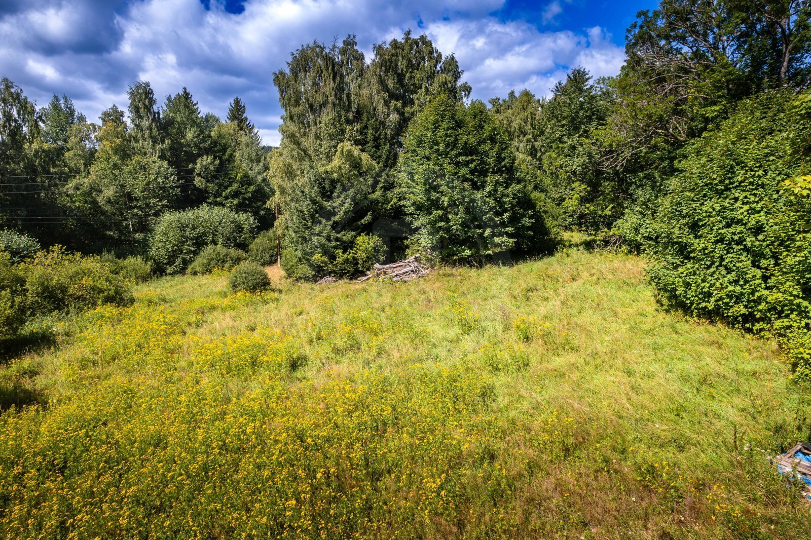 25-08-22 Přední Výtoň Pozemek Foto_45.jpg