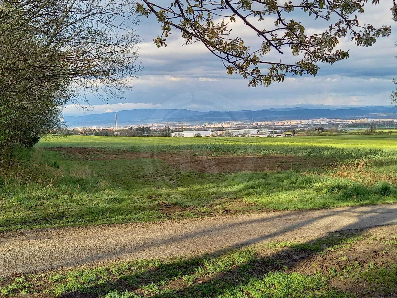 WhatsApp Image 2024-02-27 at 11.43.21 (3).jpeg