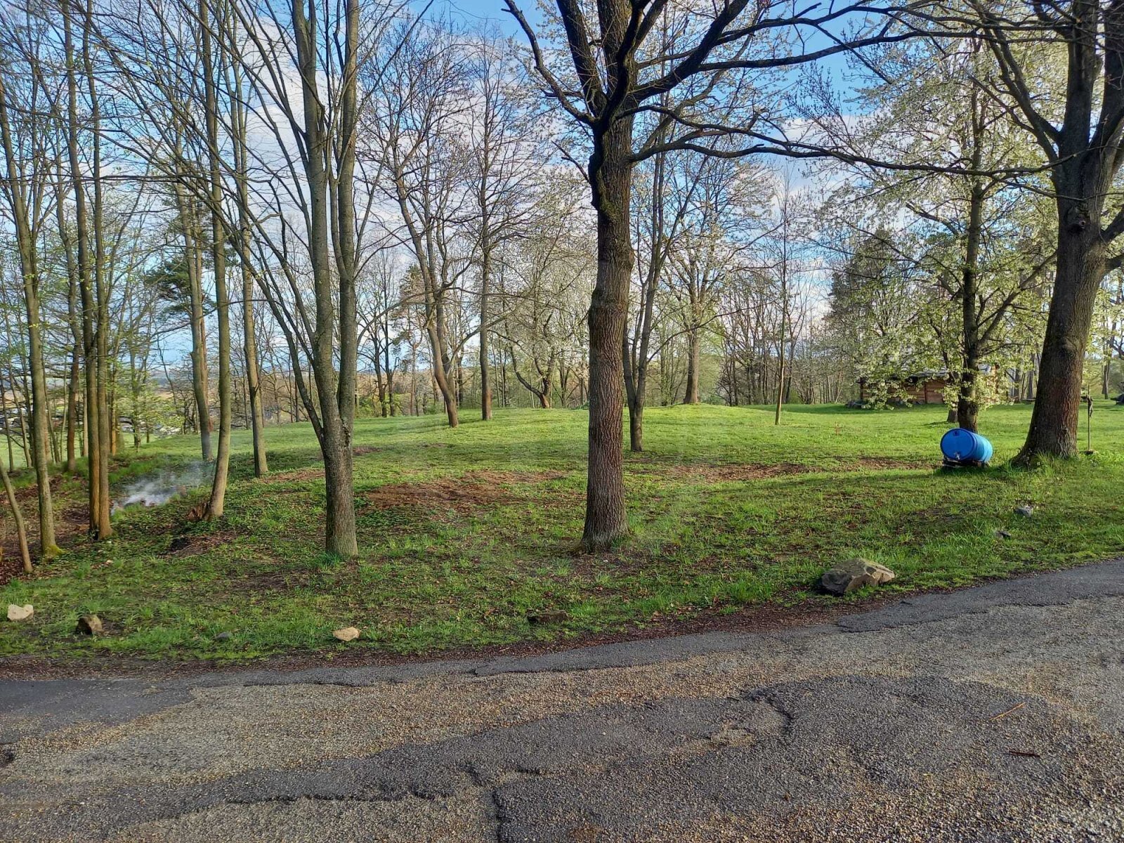 WhatsApp Image 2024-02-27 at 11.43.21 (4).jpeg