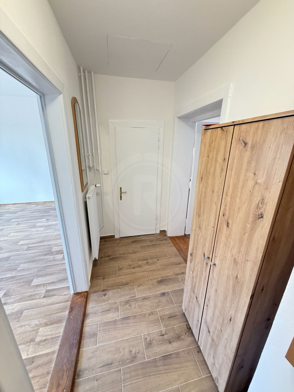 WhatsApp Image 2026-02-20 at 10.50.46 (1).jpeg