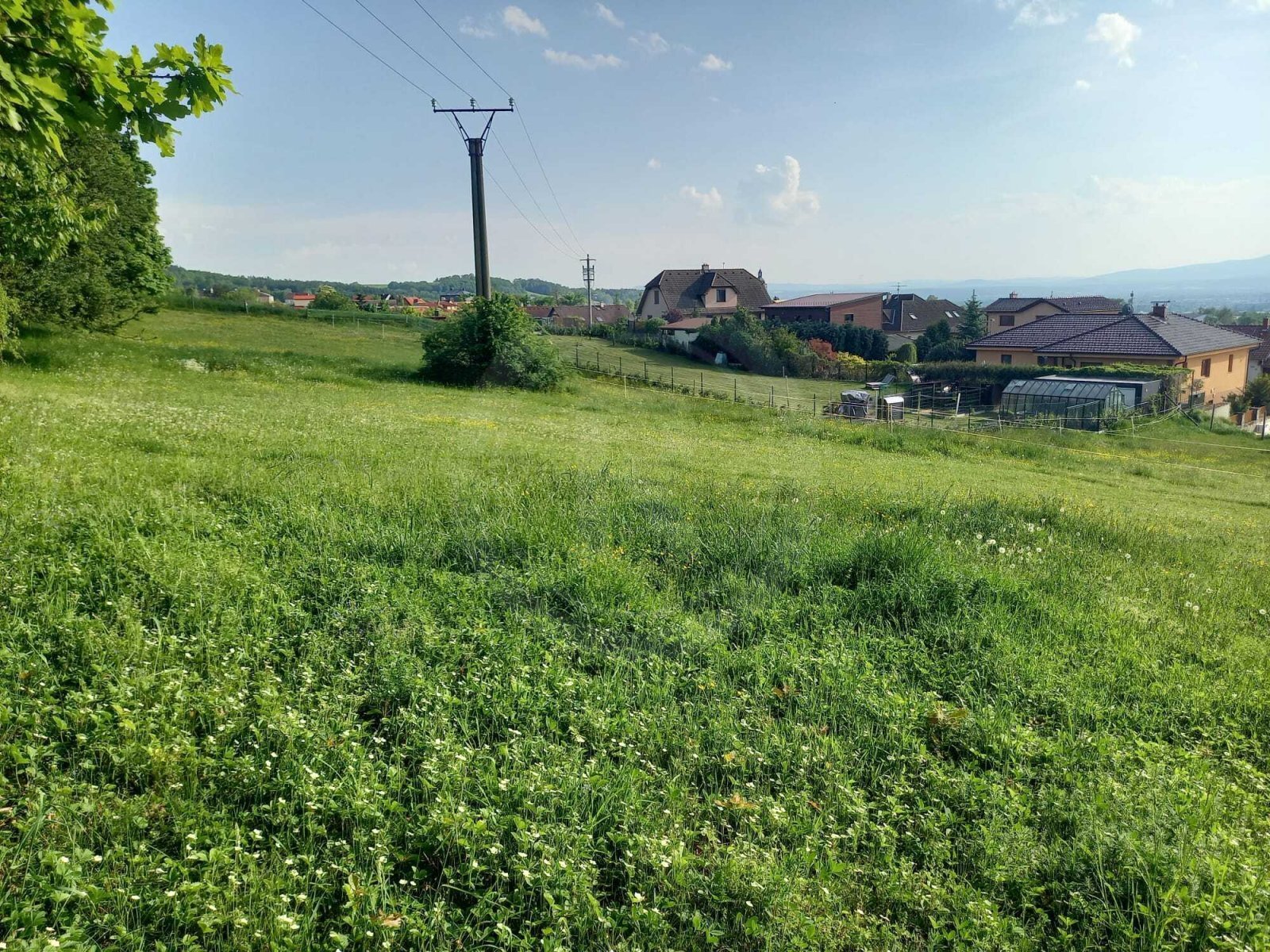 WhatsApp Image 2023-05-23 at 07.39.02.jpeg