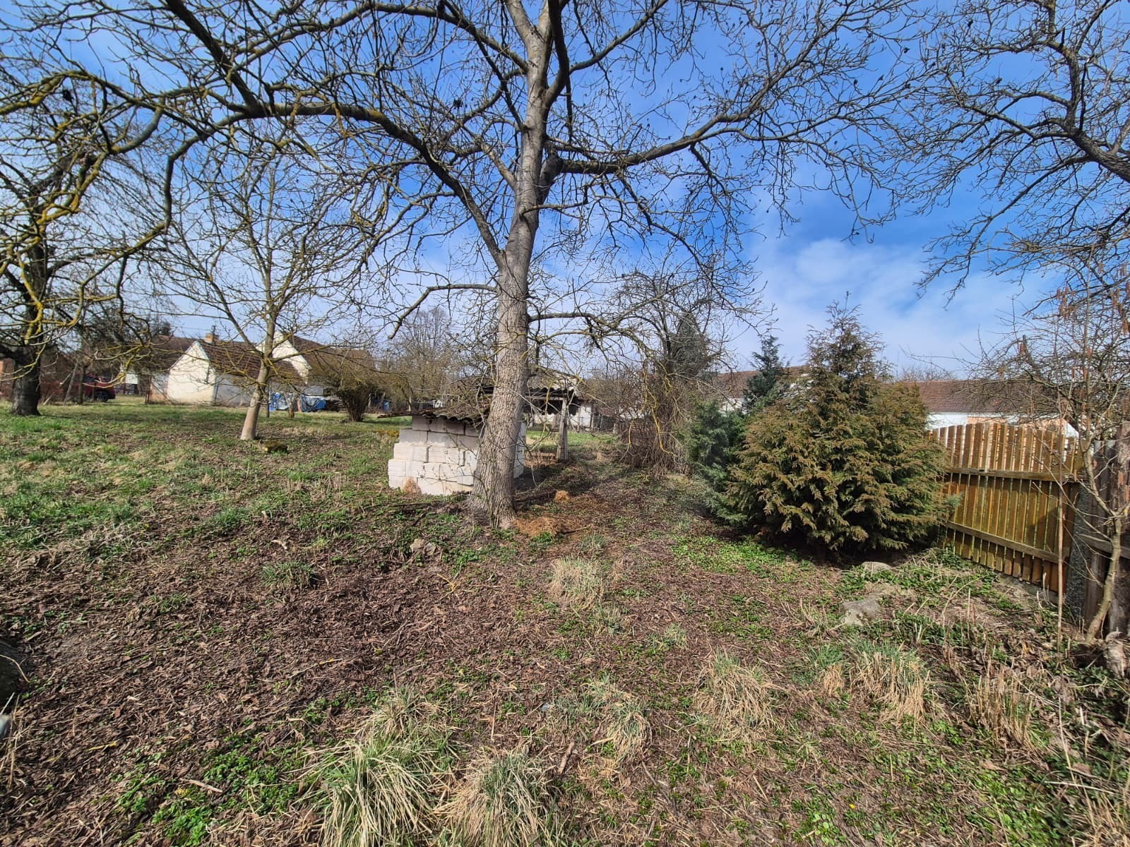 WhatsApp Image 2026-03-24 at 10.50.23.jpeg