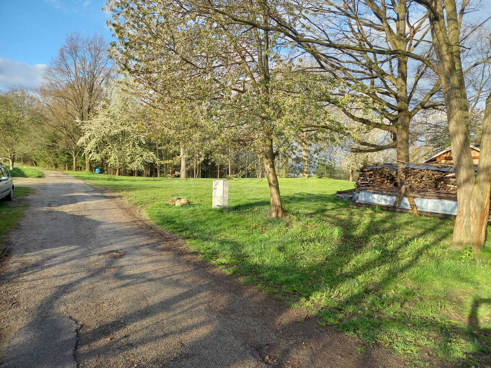 WhatsApp Image 2024-02-27 at 11.43.20 (3).jpeg