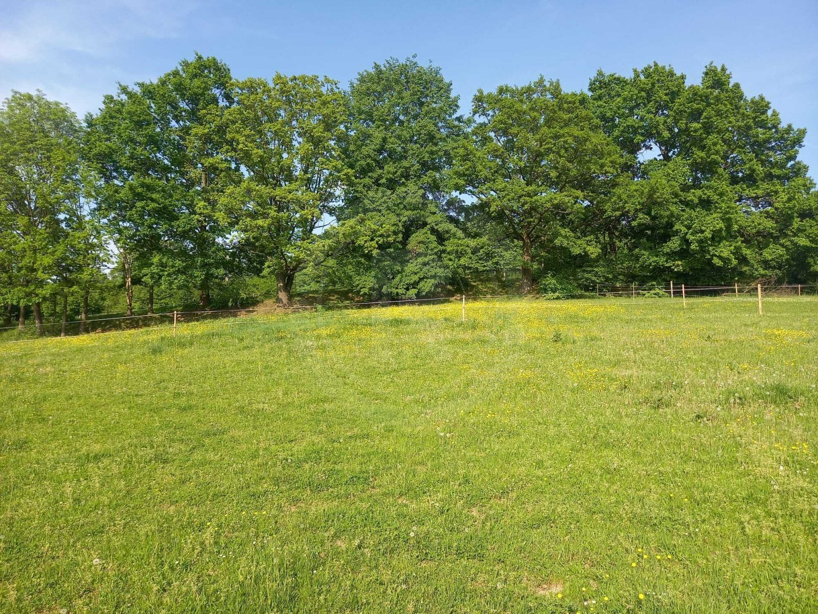 WhatsApp Image 2023-05-23 at 07.38.59 (1).jpeg