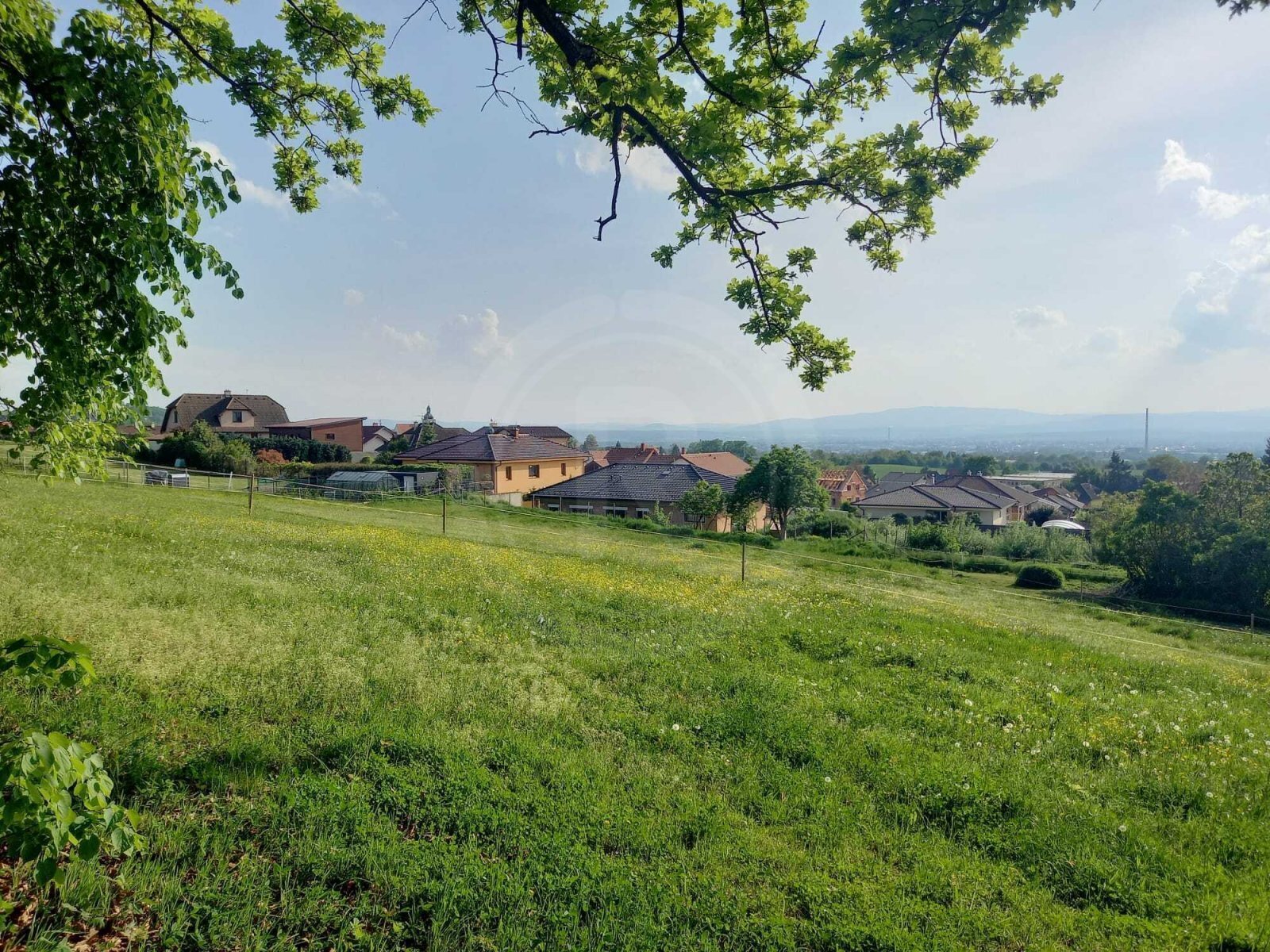 WhatsApp Image 2023-05-23 at 07.39.00.jpeg