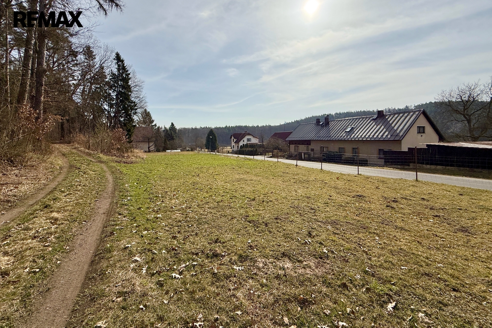 Pohled z lesní cesty