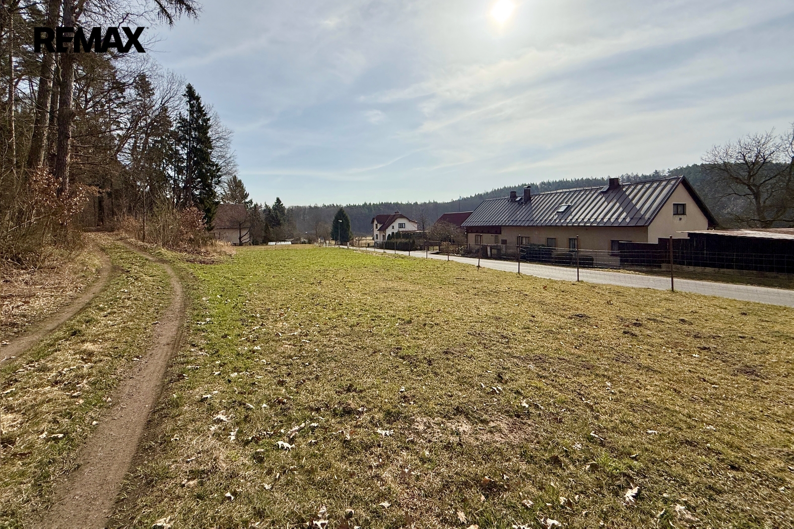 Pohled z lesní cesty