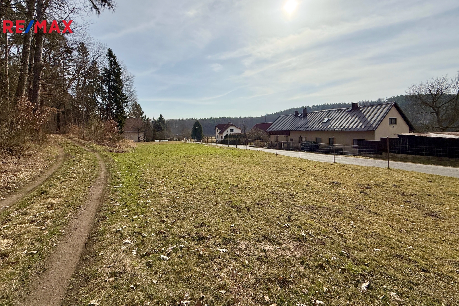 Pohled z lesní cesty