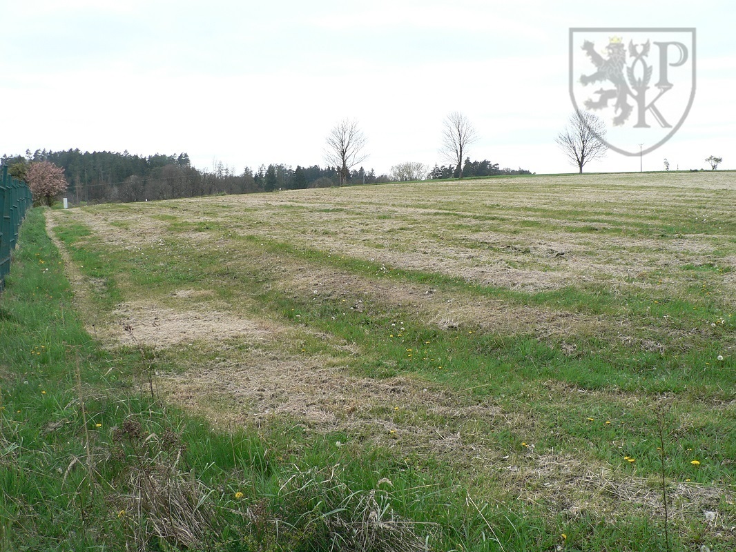 Květov poz. s pl.JPG