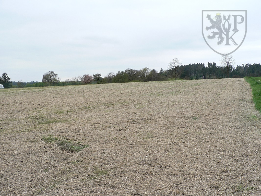 Květov poz. dol.JPG