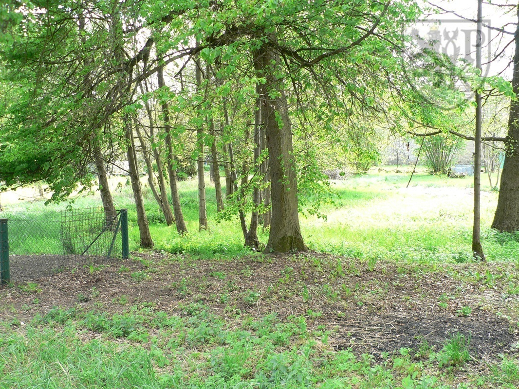 Kocelovice 20 zah2.JPG