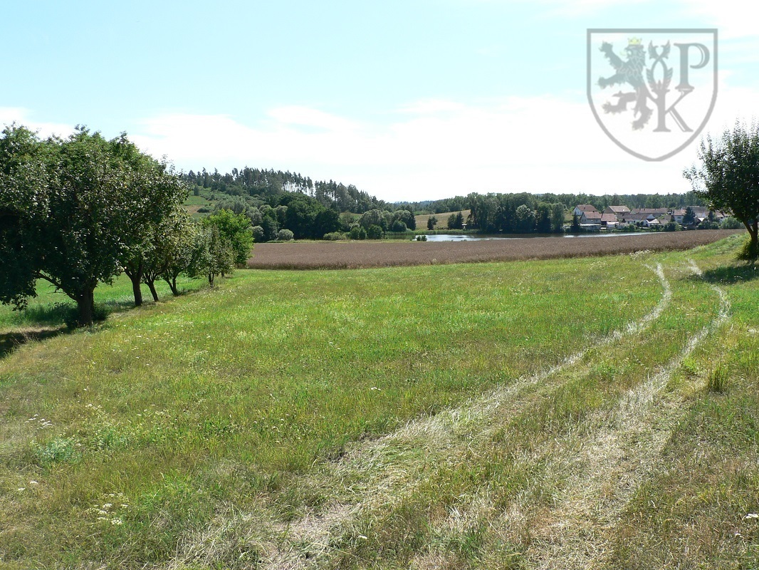 Závišín 15 zah.JPG