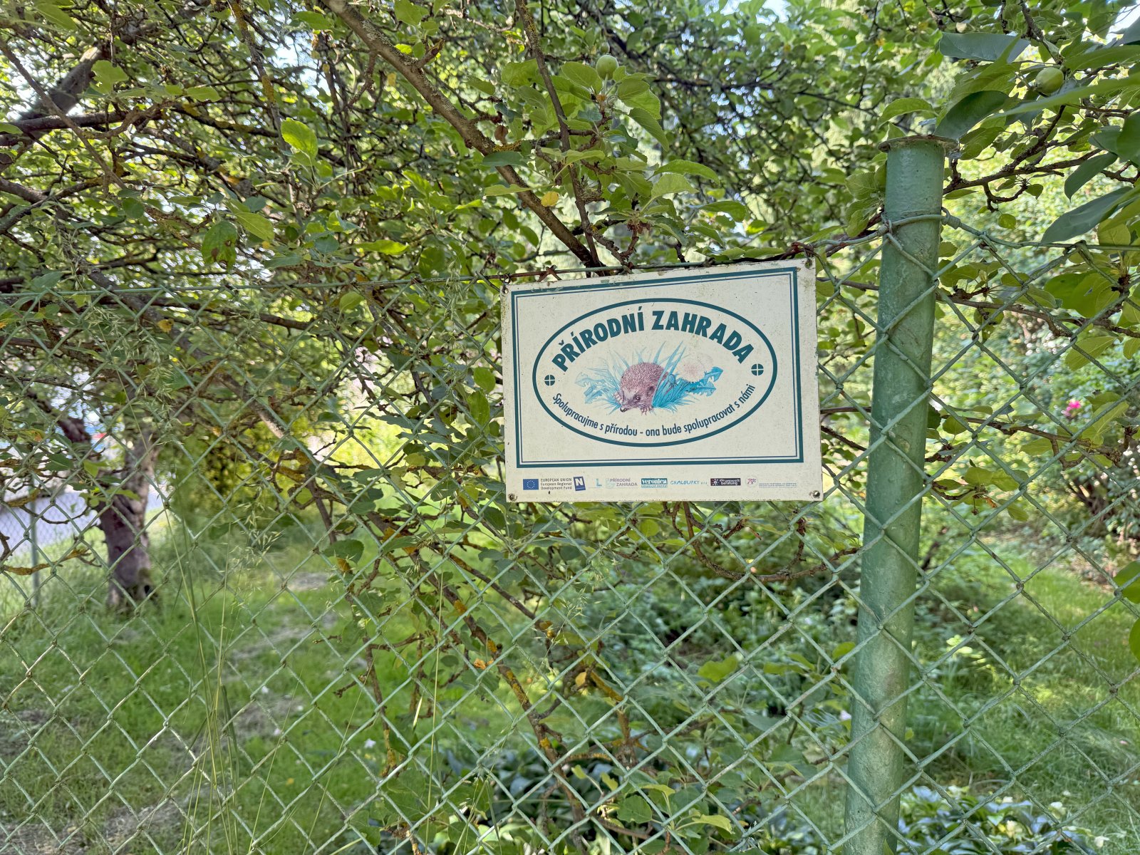 zahrada